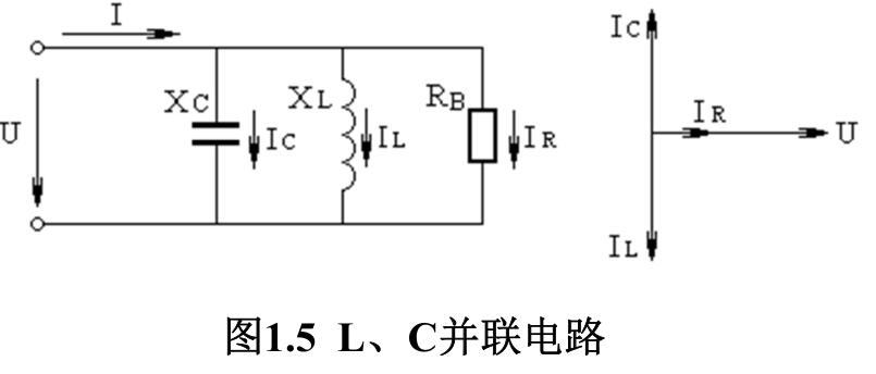 L、 C并聯(lián)電路